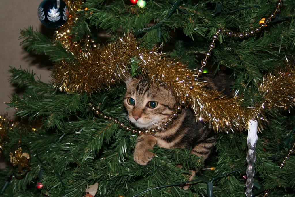 holiday pet safety tips