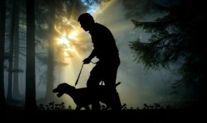 Lyme disease prevention in dogs