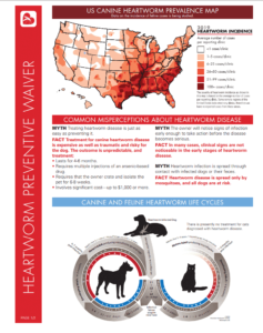 Heartworm Prevention Kansas City